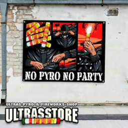 NO PYRO NO PARTY Banner 100x75