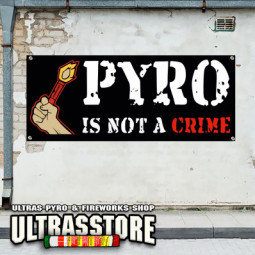 PYRO IS NOT A CRIME no.4