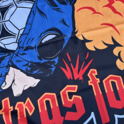 ULTRAS FOOTBALL Banner 150x100