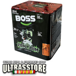 BOSS ZB342