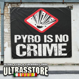 PYRO IS NO CRIME