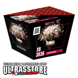 CHRYSANTHEMUM FLOWER XB3036