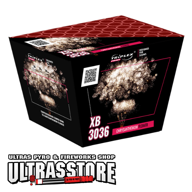 CHRYSANTHEMUM FLOWER XB3036